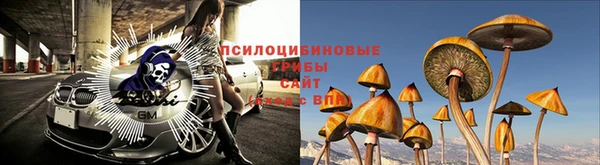 молекула духа Богданович