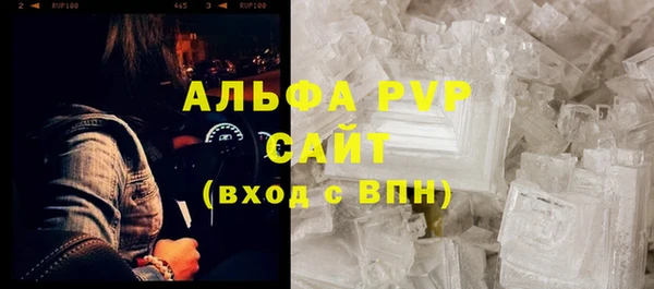 стафф Белокуриха