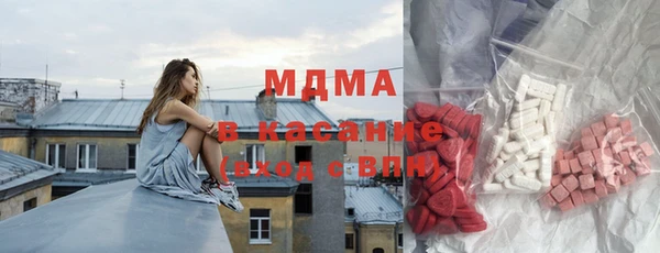 молекула духа Богданович