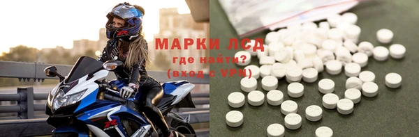 молекула духа Богданович