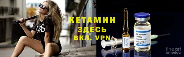 молекула духа Богданович