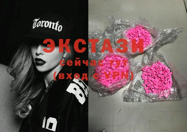 молекула духа Богданович