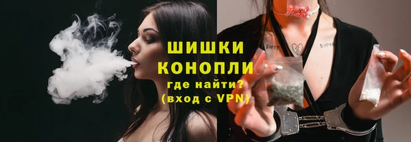 молекула духа Богданович