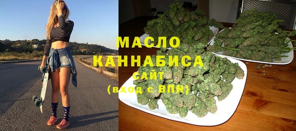 молекула духа Богданович