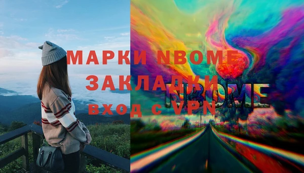 молекула духа Богданович